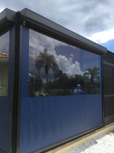 A blue building with a reflection of a palm tree