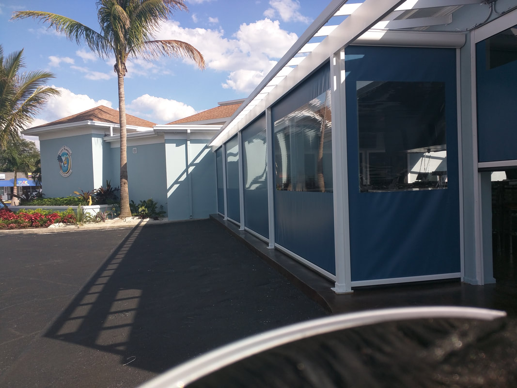 A blue building with a palm tree in front of it